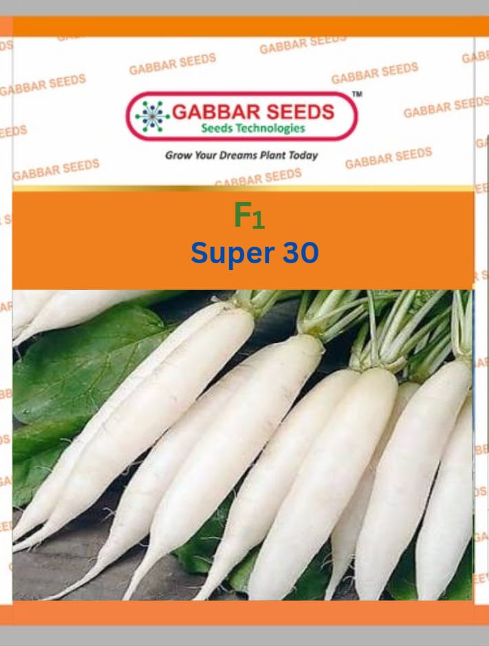 F1-Super-30